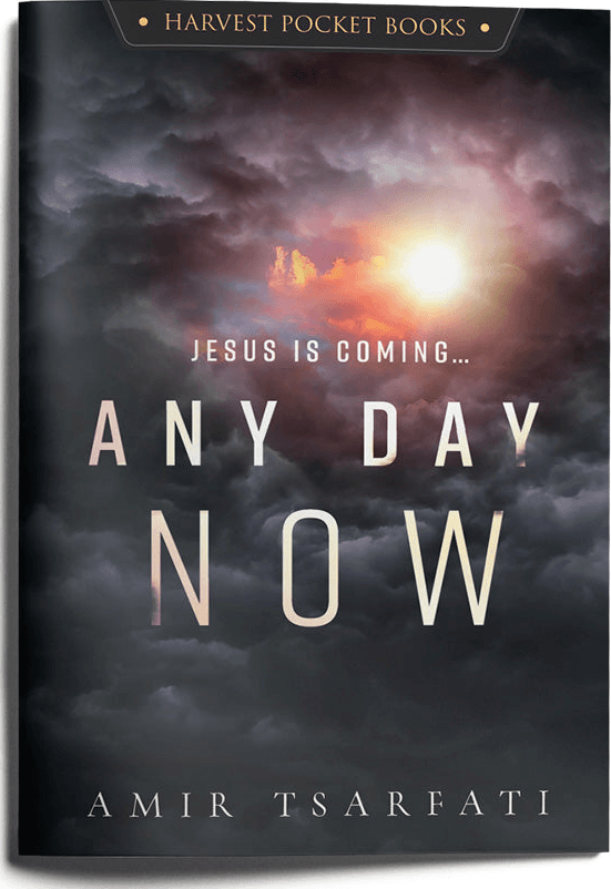 Any Day Now book cover